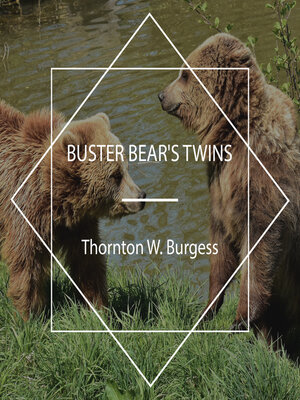 cover image of Buster Bear's Twins